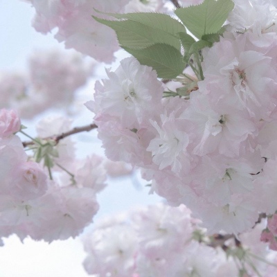 兽设冰川场景绘制Furry群